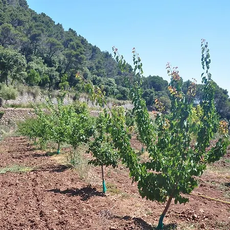 Sa Campaneta *