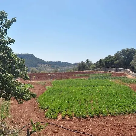 Sa Campaneta Puigpunyent (Mallorca)
